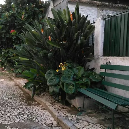 Apartment Intendente Charming Loft *